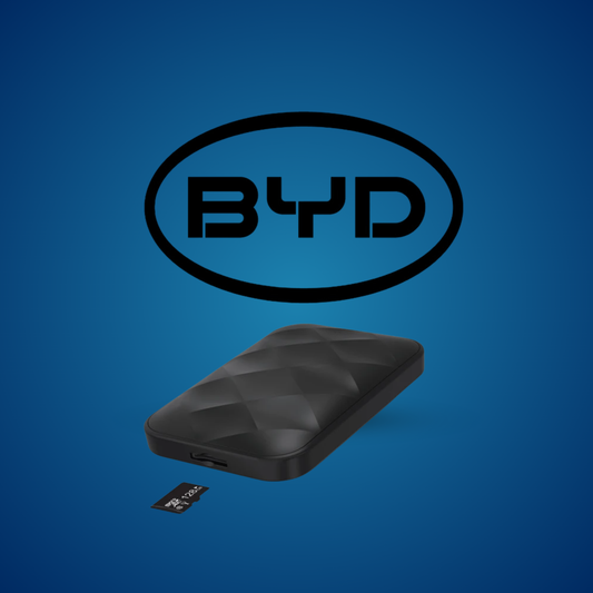 Youtube e Netflix AI-Box per BYD